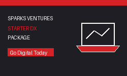 Starter Digital Transformation Package